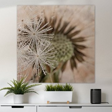 Verstecken sich hinter dem Flauschball von Marjolijn van den Berg