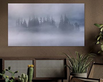 Optrekkende mist | Prebersee | Oostenrijk van Bastiaan Stolk