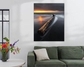 Tranquillité côtière : arbre et vagues