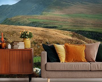 Herder leidt zijn schapen naar het weiland in Ierland van Lieke Hulshof