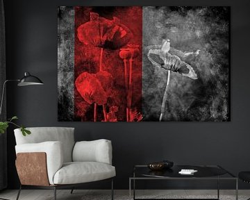 poppies by Yvonne Blokland