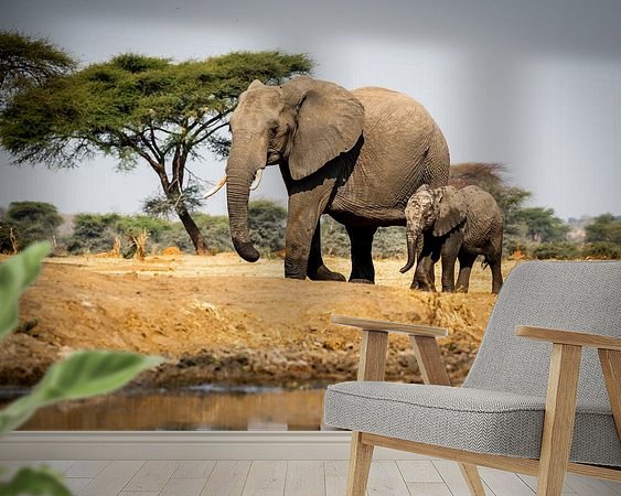 Aperçu de la chambre