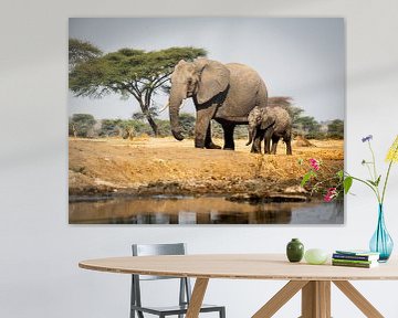 Afrikaanse olifanten aan de muur van Omega Fotografie
