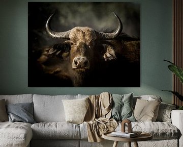 Afrikaanse buffel aan de muur van Omega Fotografie