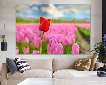 Bloeiende tulpen in een veld met één rode tulp die eruit springt van Sjoerd van der Wal Fotografie