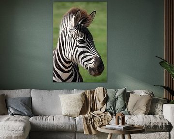 Zebra close up van Marianne van den Bogaerdt