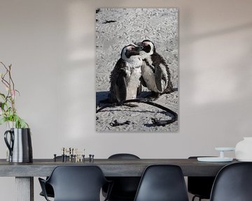 Lief setje - Pinguïns van Marianne van den Bogaerdt