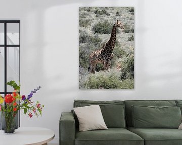 Statige giraf van Marianne van den Bogaerdt