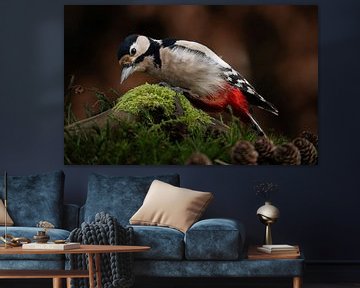 Bonte specht in de tuin