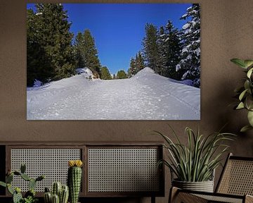 Winterwandelpad in de Alpen van Babetts Bildergalerie