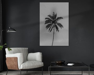 Een elegante palmboom in zwartwit in het paradijselijke Bali van Marcus PoD