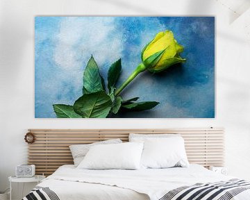 Nature morte Fleur sur fond