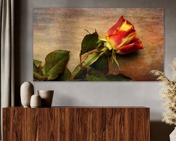Nature morte Fleur sur fond