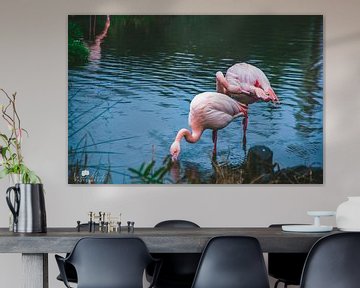 Flamingo vogels van Pix-Art by Naomi.k