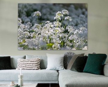 Tapijt van witte wilde knoflookbloemen van Imladris Images