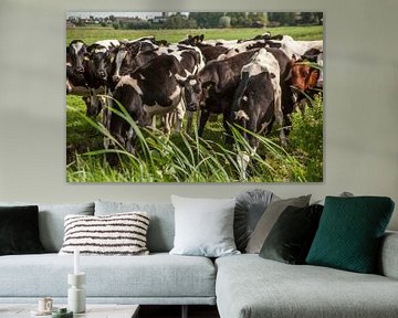 Koeien in de wei van Pix-Art by Naomi.k