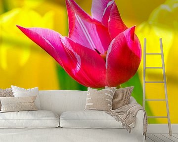 Rosafarbene Tulpe in einem Feld mit gelben Tulpen im Frühling von Sjoerd van der Wal Fotografie