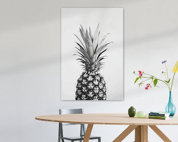 Zwart-witte ananas: natuur in beeld van Felix Brönnimann