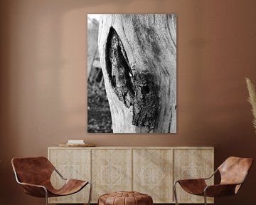 .Knoest in hout zwart/wit