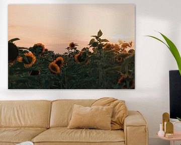 Zonnebloemen van Pieter Frans Flameling