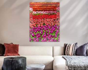 Tulpen in Keukenhof - het mooiste lentepark ter wereld van Franz Walter
