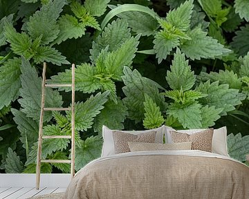 Brandnetels van Katrin May