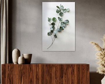 Eucalyptus van Felix Brönnimann