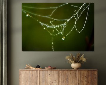 Regentropfen-Perlen-Kette im Spinnennetz von Norbert Sülzner