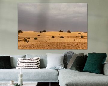Avondscherming in de Sahara van Photolovers reisfotografie