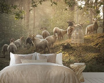 Sheep in dreamy landscape by Stephan Tamminga