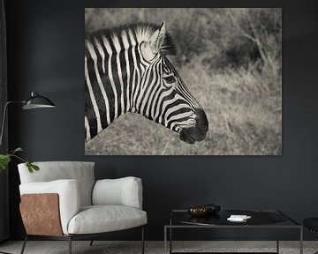 Zebra profiel van Stephan Tamminga