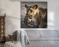 Aperçu de la chambre