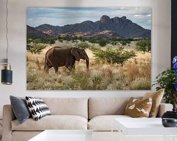 Grote (woestijn) olifant in de natuur van Afrika van Chihong