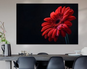 Gerbera by Poster Art Shop