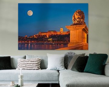 Buda Castle, Budapest, Hungary by Gunter Kirsch
