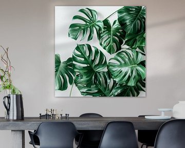 Monstera sur Poster Art Shop