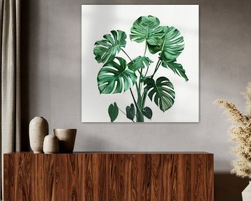Monstera sur Poster Art Shop