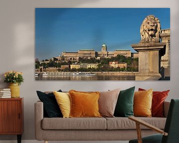Buda Castle, Budapest, Hungary by Gunter Kirsch