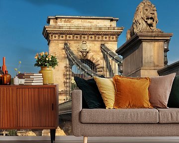 Chain Bridge, Budapest, Hungary by Gunter Kirsch