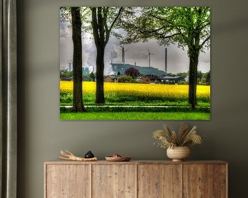 Trees. Rapeseed ind industry