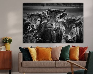 Familieportret Koeien van Rob Boon