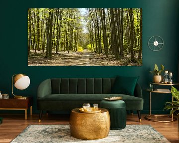 Forest walk by Violetta Honkisz
