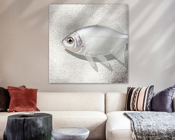 the Silver Fish van Marja van den Hurk