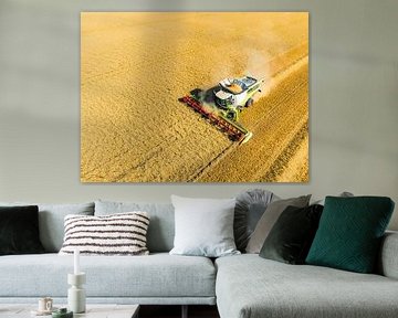 Combine oogst tarwe in de zomer gezien van opzij van Sjoerd van der Wal Fotografie