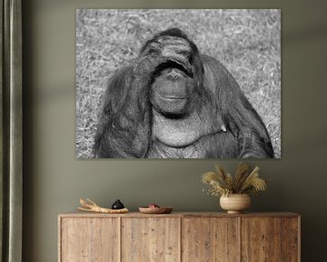 Orang-oetan in zwart wit van Jose Lok