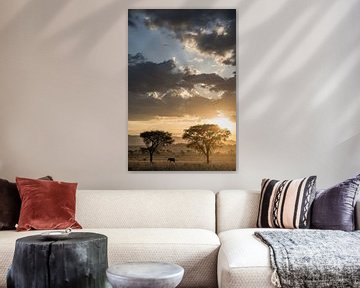 Zonsondergang met een Olifant van Photolovers reisfotografie