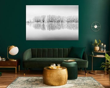 Winter landschap in zwart-wit met meer en berijpte bomen van Chris Stenger
