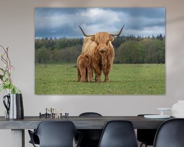 Schotse hooglander met kalf van M. B. fotografie