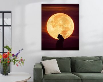 Maanlicht en kat van Gapran Art