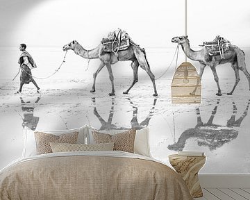 Salz der Afar | Kamele in Äthiopien von Photolovers reisfotografie